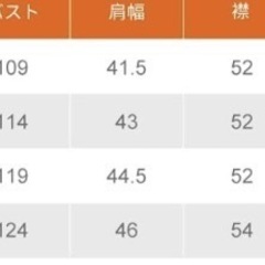 電熱ベストの画像