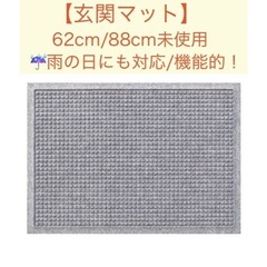 玄関マット　吸水マット 防塵マット　ウォーターホースT サイズ62×88cmの画像