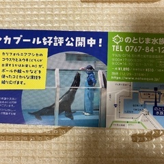 のとじま水族館　こども無料招待券の画像