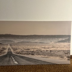 IKEA キャンバスアート　プィエッテリードの画像