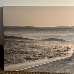 IKEA キャンバスアート　プィエッテリードの画像