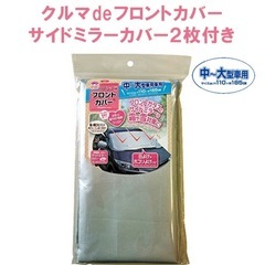 車　フロンドガラス　サイドミラーカバー
の画像