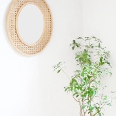 オーバルミラー　鏡　姿見　ラタン藤製　編み込みデザイン　オシャレで温かみのあるラタン自然素材　長丸型の画像
