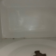 【値下げ】TWINBIRD 電子レンジ　2021年製の画像