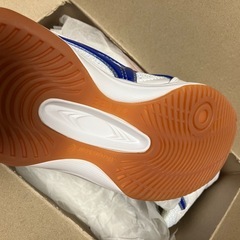 渋沢中学校＊指定上履き・体育館履き＊23センチの画像