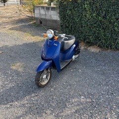 1158.AF61 トゥデイ ホンダ　原付　バイク　50cc 車体　埼玉の画像