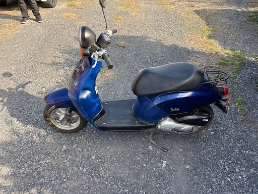 1158.AF61 トゥデイ ホンダ　原付　バイク　50cc 車体　埼玉