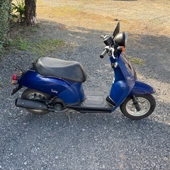 1158.AF61 トゥデイ ホンダ　原付　バイク　50cc 車体　埼玉の画像