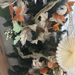 クリスマスツリーの画像