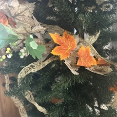 クリスマスツリーの画像