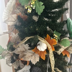 クリスマスツリーの画像