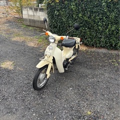 1160.ホンダ　リトルカブ　3速　FIモデル　原付　バイク　50cc 車体　埼玉の画像