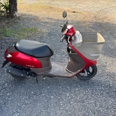 1163.スズキ　レッツバスケット　高年式　原付　バイク　50cc 車体の画像