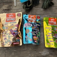 メダカ飼育セットの画像