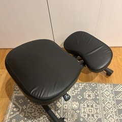 バランスチェアの画像