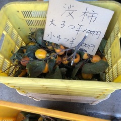 自家製渋柿‼️干し柿用‼️5つ￥100⭕️ の画像