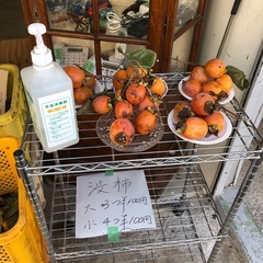 自家製渋柿‼️干し柿用‼️5つ￥100⭕️ の画像