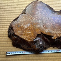 花台、盆栽台の画像