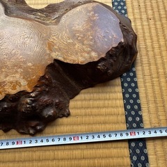 花台、盆栽台の画像