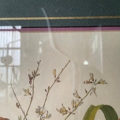 植物画の画像