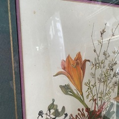 植物画の画像