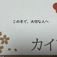 充電式カイロの画像