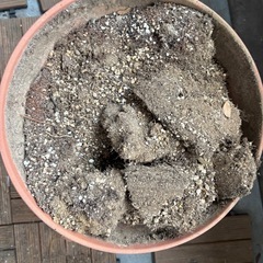 鉢　鉢受けの画像