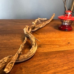 2、夫婦仲良し枝〜流木…天然物、インテリア、オブジェの画像