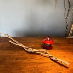 2、夫婦仲良し枝〜流木…天然物、インテリア、オブジェの画像