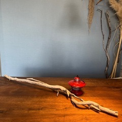 2、夫婦仲良し枝〜流木…天然物、インテリア、オブジェの画像