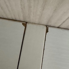 RASIK LED照明＆棚付きローベッド ファミーテ　ホワイト　セミダブルの画像