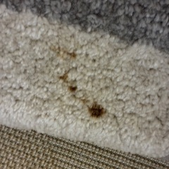 ウィルトン織 北欧風ラグ カーペット 200×200の画像