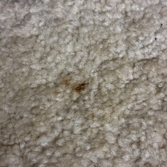 ウィルトン織 北欧風ラグ カーペット 200×200の画像