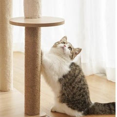 木製キャットタワーの画像