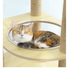 木製キャットタワーの画像