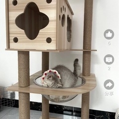 木製キャットタワーの画像