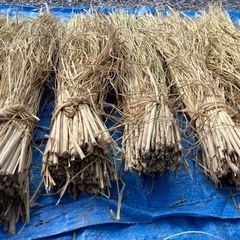 [減農薬　わら］　10束　🌾の画像