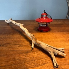 2、可愛い〜なみなみ小枝付き　流木…天然物、インテリア、オブジェの画像