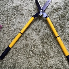 がデニングハサミ✂️の画像