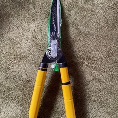 がデニングハサミ✂️の画像