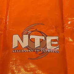 新品 TGS2025 NTE NEVERNESS TO EVERNESS ショッパー 大 エコバッグ の画像