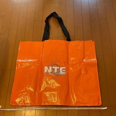 新品 TGS2025 NTE NEVERNESS TO EVERNESS ショッパー 大 エコバッグ の画像