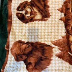 シングルサイズ毛布の画像