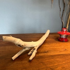 2、先が散らかった美白野郎　流木…天然物、インテリア、オブジェの画像