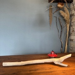 2、先が散らかった美白野郎　流木…天然物、インテリア、オブジェの画像