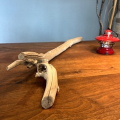 2、先が散らかった美白野郎　流木…天然物、インテリア、オブジェの画像