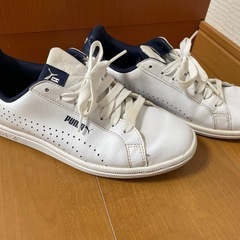 PUMA スニーカーの画像