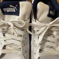 PUMA スニーカーの画像