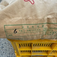 1袋限定　令和6年産　コシヒカリ30kgの画像