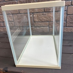 決まりました！！水槽の画像